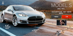 tesla china tesla-china