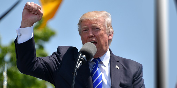 donald-trump-retrato-pixabay