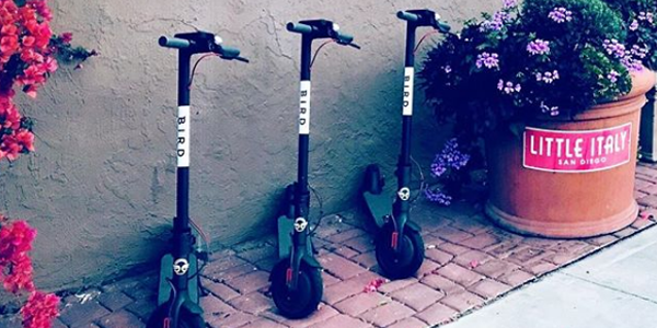 pájaro-scooter-sharing-startup