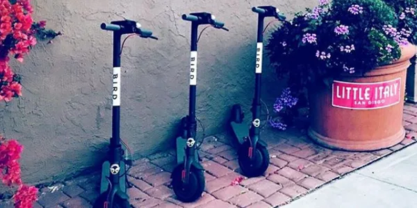 bird-scooter-sharing-startup