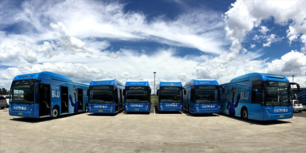 byd-aeropuerto-sidney-elektrobusse