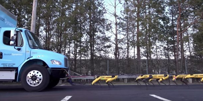 boston-dynamics-robots