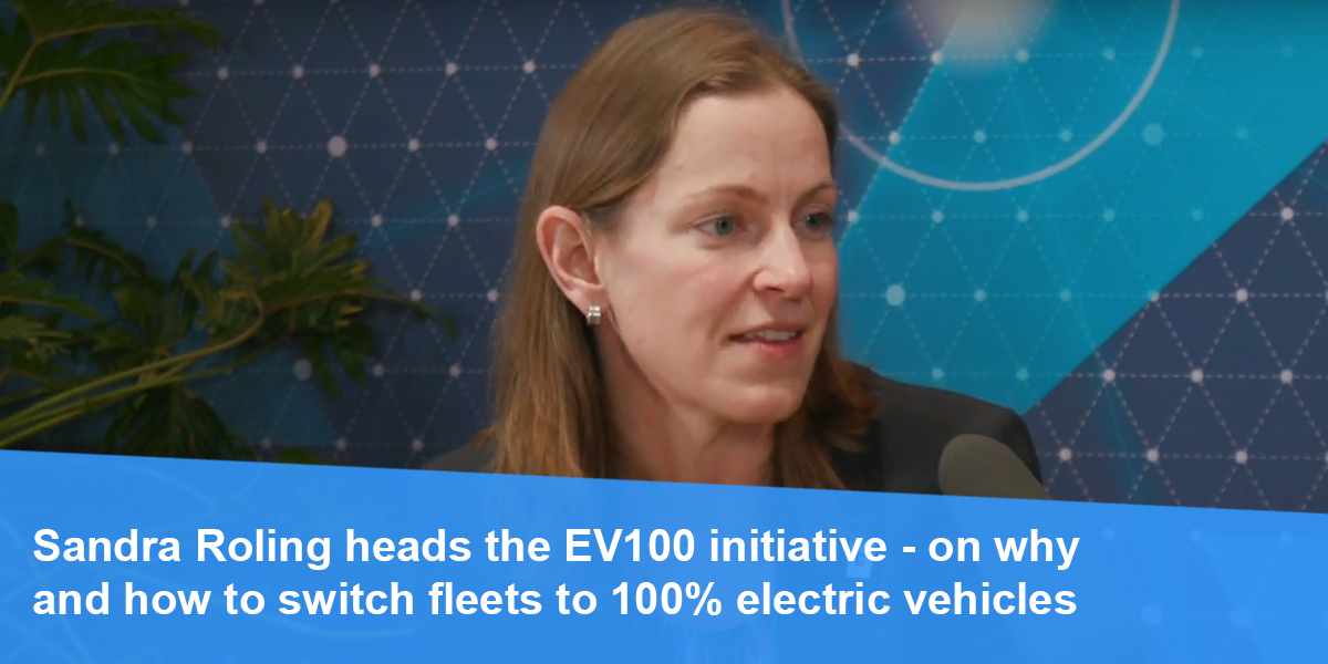 sandra-roling-video-entrevista