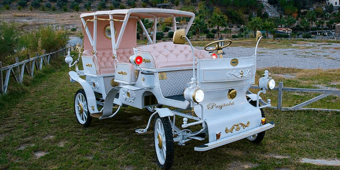 Fayoto elektro kutsche electric carriages min