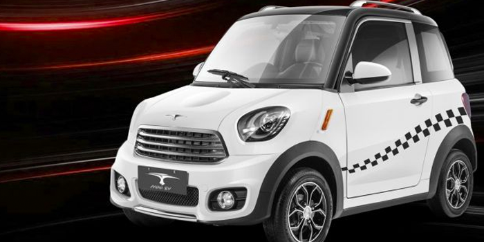 Mini ev x2