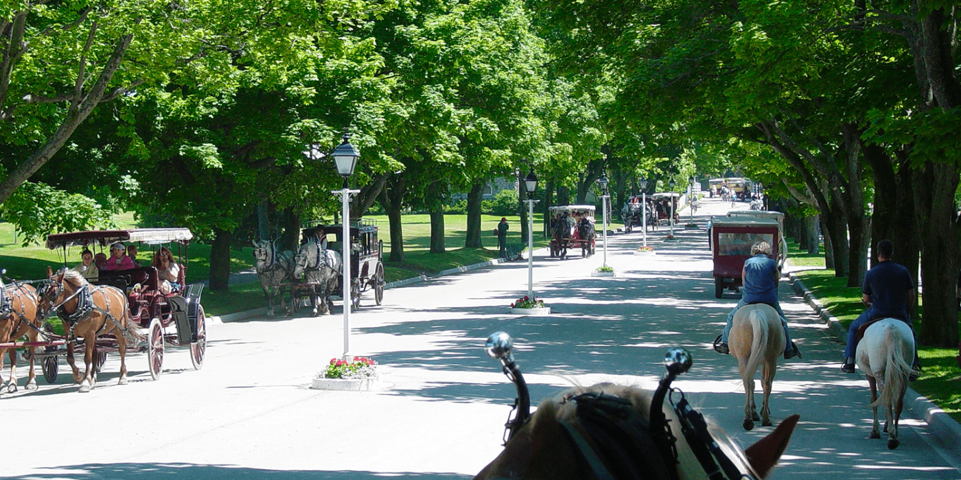 Kutsche carriage symbolbild pixabay min