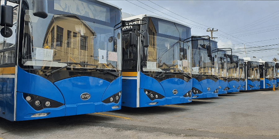 Byd elektrobus electric bus barbados min