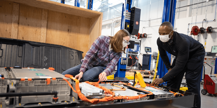Ford batterie batería michigan min