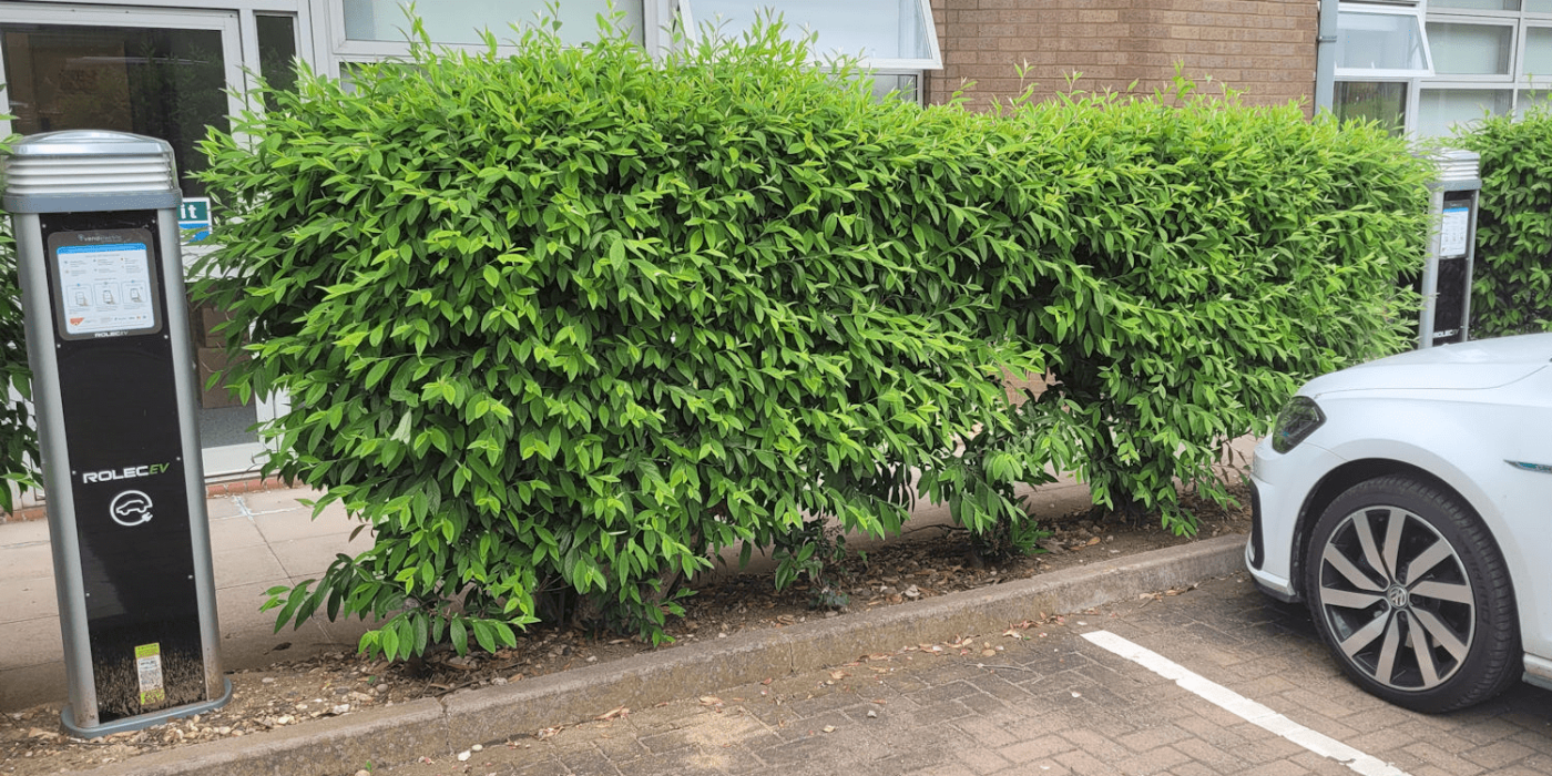 Willmott dixon ladestation charging station rolec services min