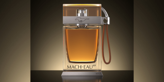 Ford benzin geruch min