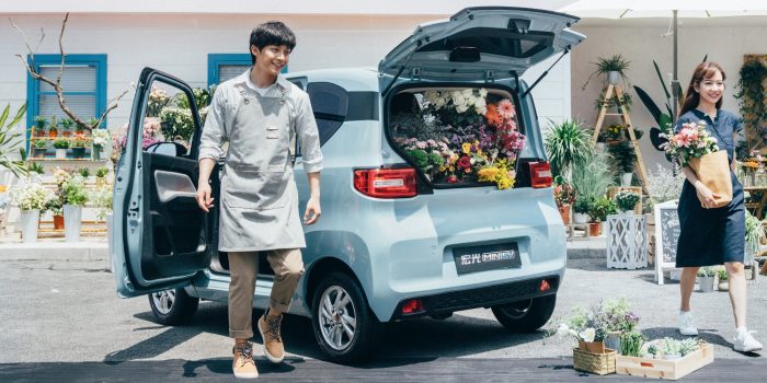 Gm wuling hong guang mini ev china