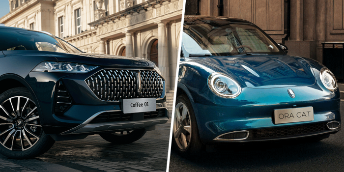 Gran pared motor wey café ora gato collage min