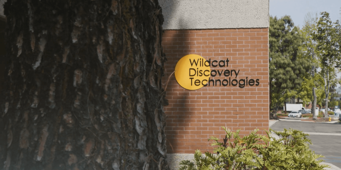 Wildcat discovery technologies min