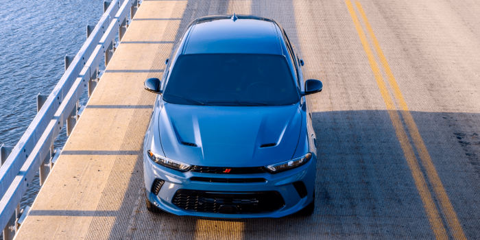 Esquivar avispón min