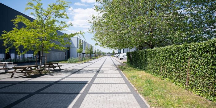 Solithorpunch powertrain belgien