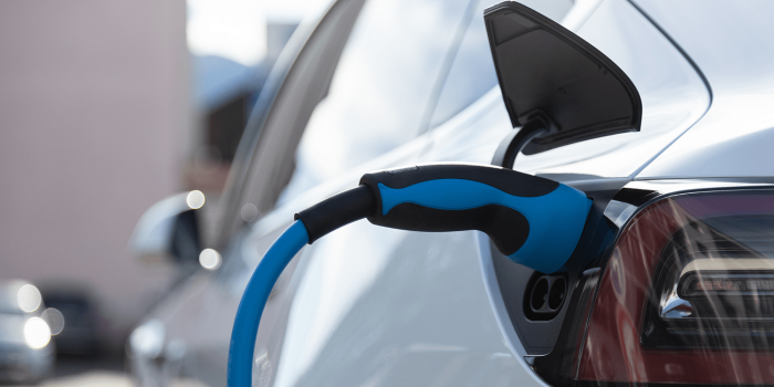 Typ type tesla photodune min