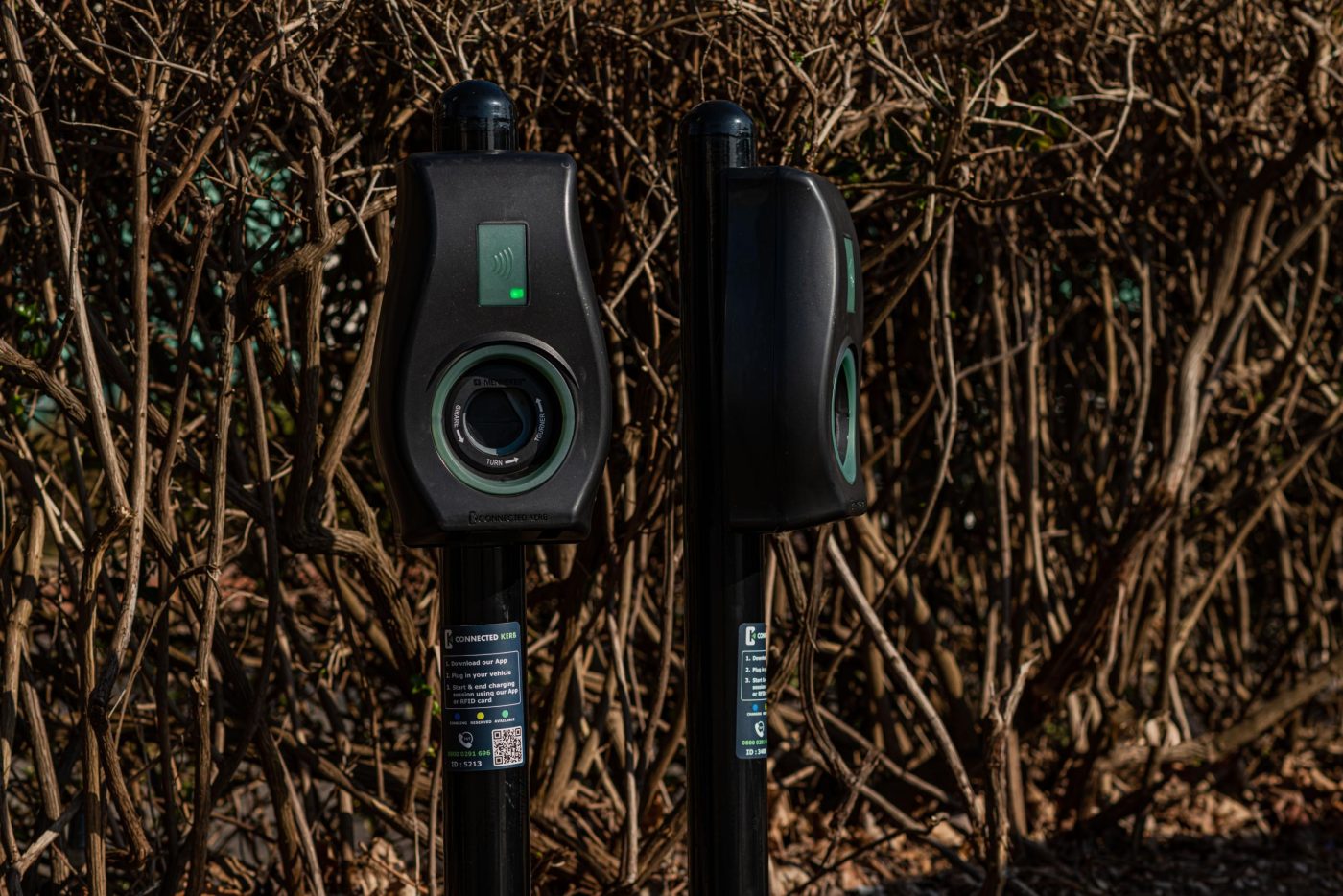 Bordillo Gecko conectado