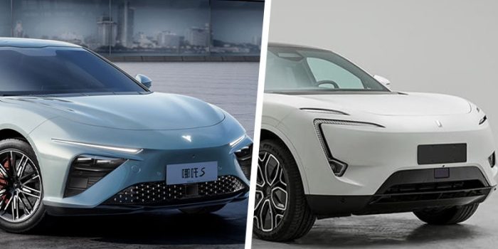 Neta avtr collage min