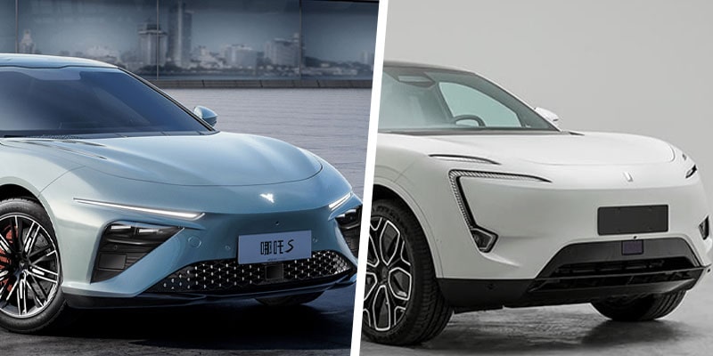 Neta avtr collage min