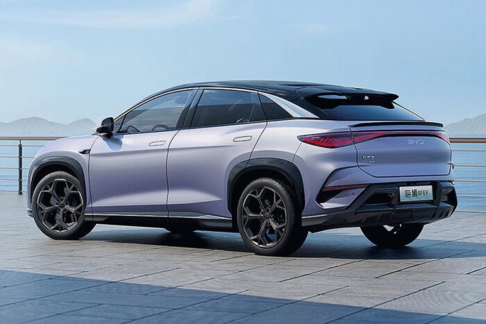 Byd león marino min