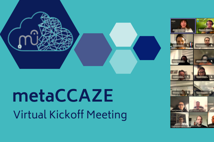 proyecto metaccaze eu e