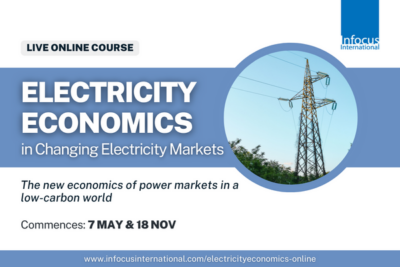 electricity economics