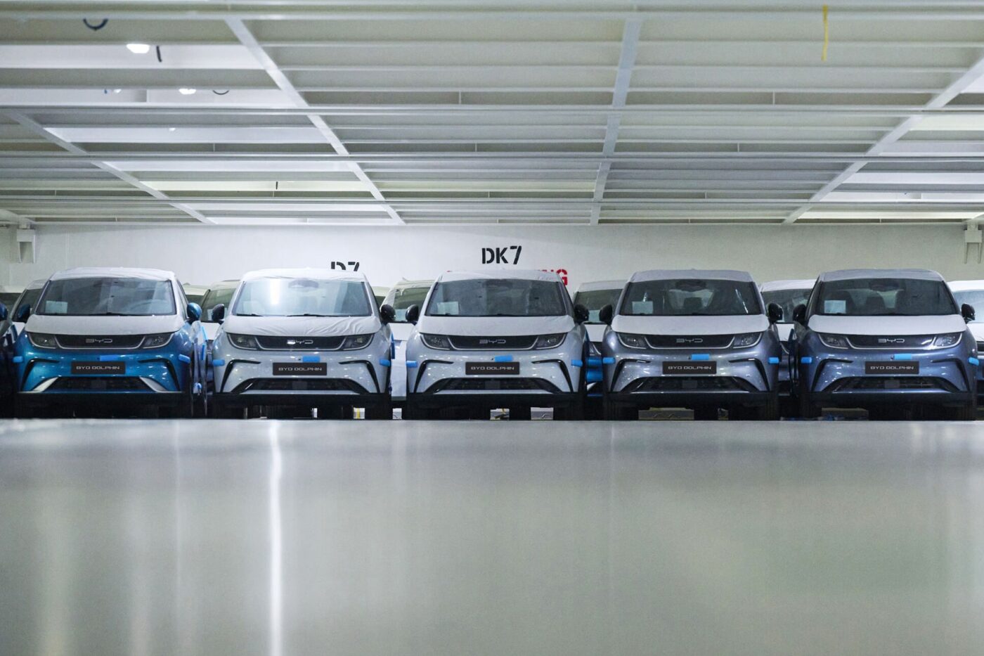 Byd delfín min