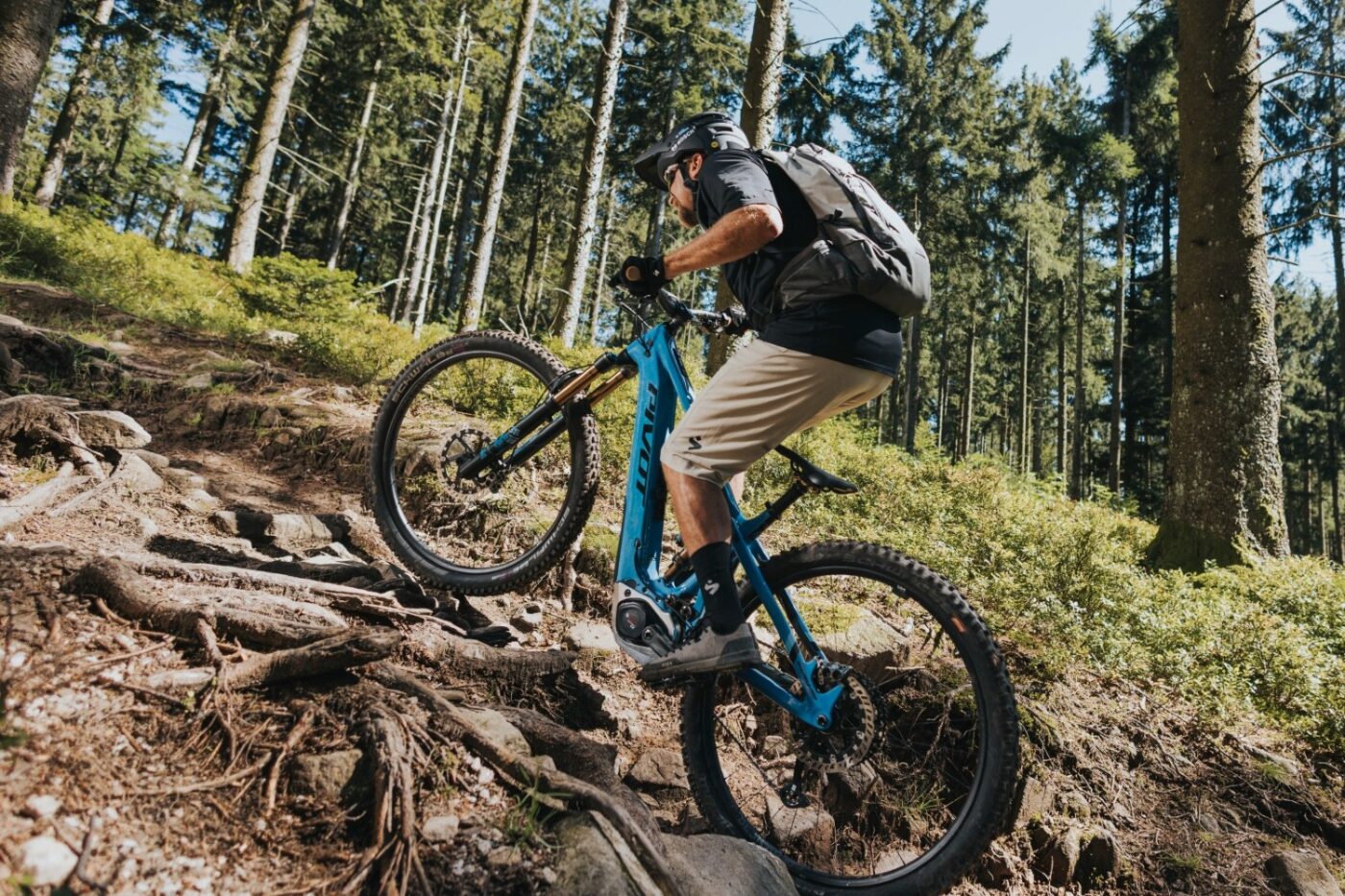 Bosch ebike performance line cx e mountainbike
