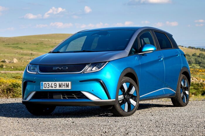 Byd dolphin spanien spain min