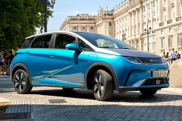 Byd dolphin spanien spain min