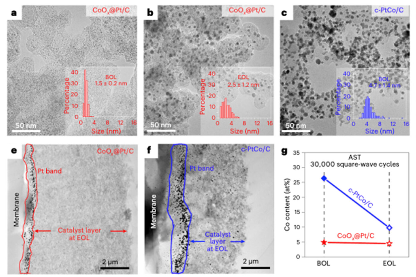 Ucla fuel cell study