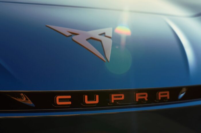 cupra born logo 2024 cropped