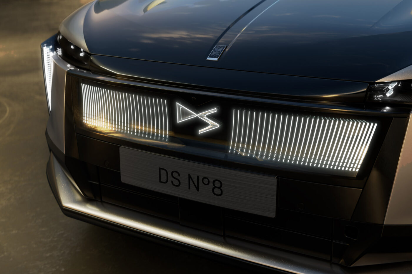 ds n 8 2024 1 ds n 8 2024 1