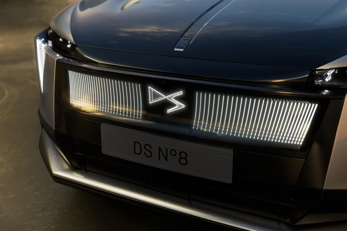 ds n 8 2024 1 ds n 8 2024 1