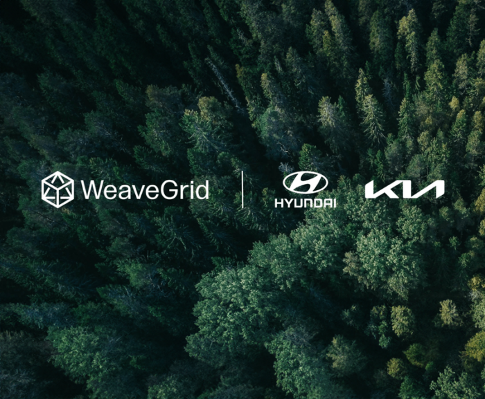 Weavegrid hyundai kia