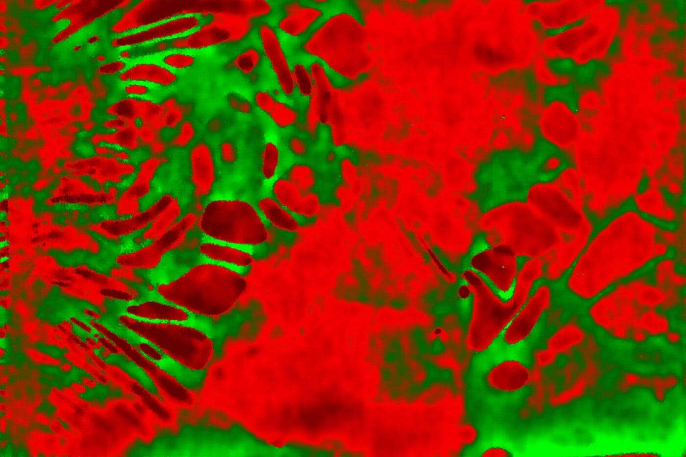 Tomograma de la batería de litio-azufre