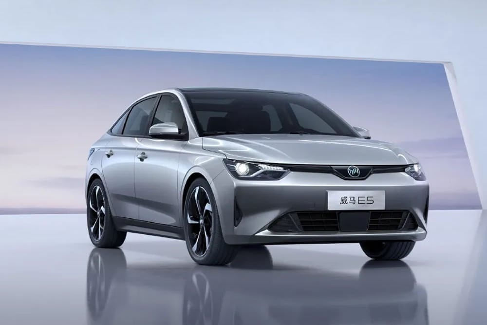 Wm motor weltmeister e5