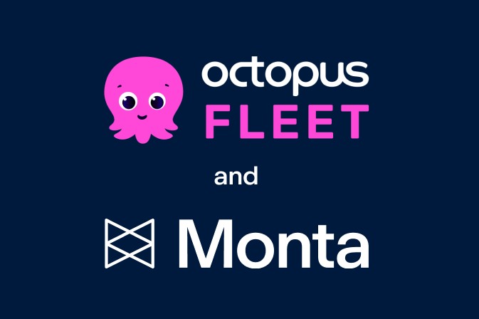 Monta enters fleet charging partnership with Octopus - electrive.com