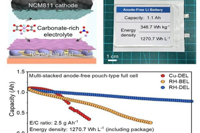 Postech kaist anodenfreie batteriezelle