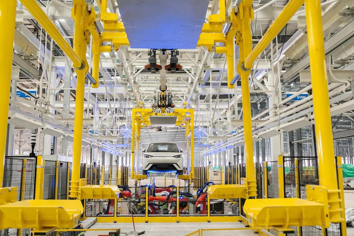 Byd werk brasilien dolphin mini seagull