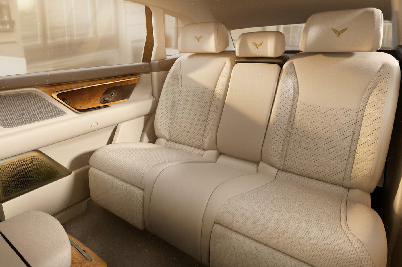 Lac hong 800s asiento trasero