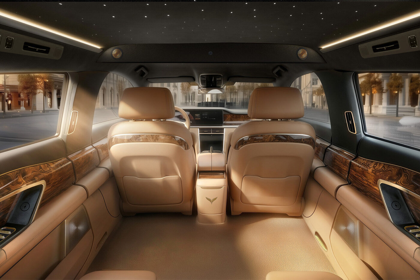 Lac hong 900s interior starlit headliner