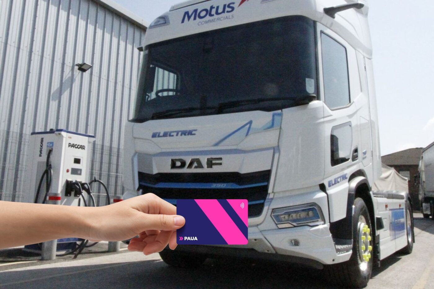 Paua motus recortada