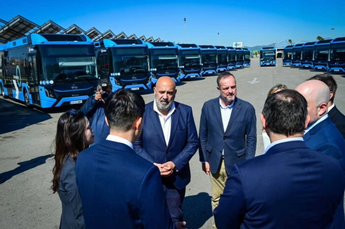 Emt palma byd solobusse